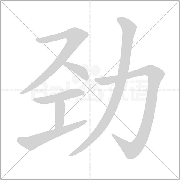 劲字的笔顺在田字格正确的写法图片