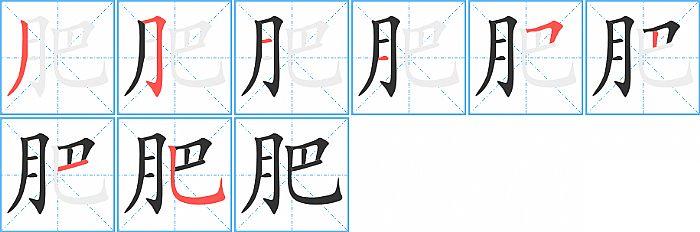 肥的笔顺笔画顺序写法图片演示