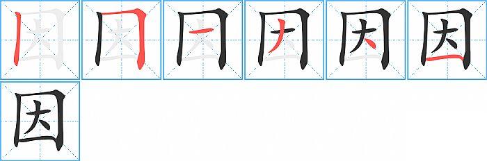 因的笔顺分步演示图
