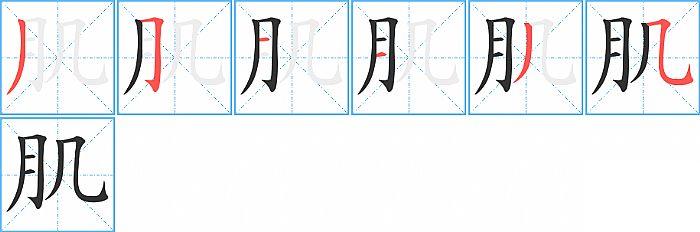 肌的笔顺笔画顺序写法图片演示