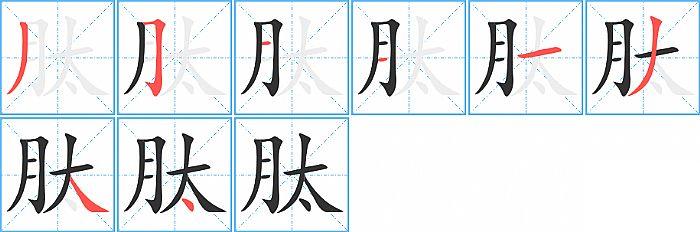 肽的笔顺笔画顺序写法图片演示
