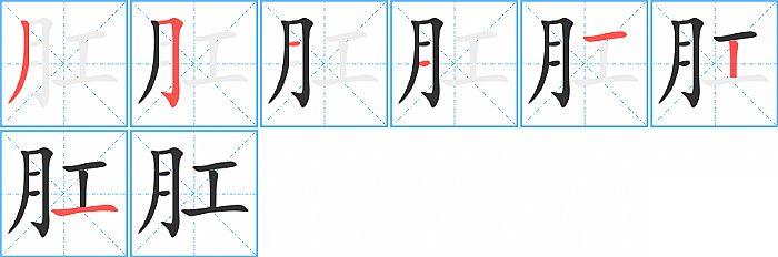 肛的笔顺笔画顺序写法图片演示