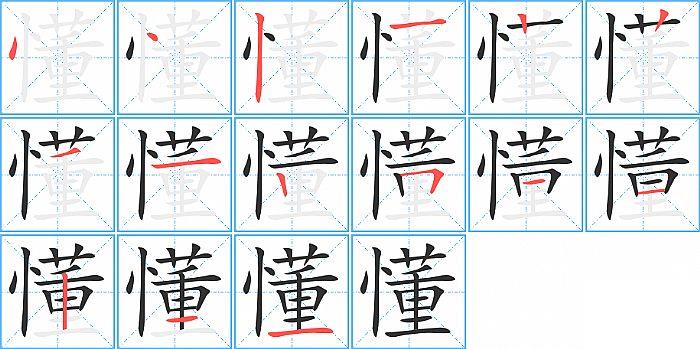 懂的笔顺笔画顺序写法图片演示