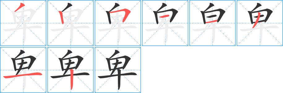 卑的笔顺在田字格的正确写法图片