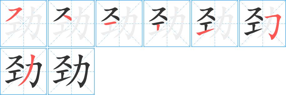 劲的笔顺在田字格的正确写法图片