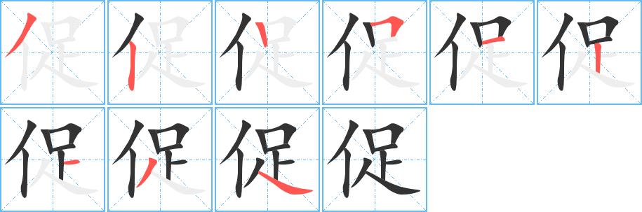 促的笔顺笔画在田字格的正确写法图片